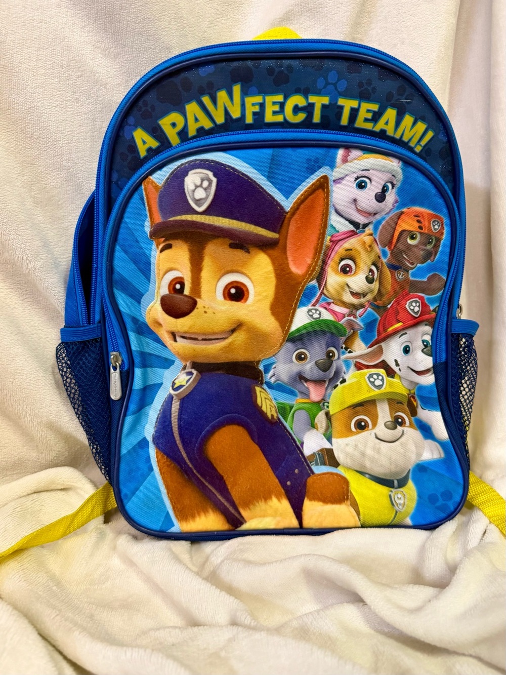 Nickelodeon Blue Paw Patrol Kids Backpack - Multi-Character Print